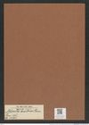 Actinella brasiliensis Grun. (de-Toni-Nr.: Genus 108, Species 3275) Zeichnungen Sammlung Grunow Mappe 03497 (Herbarium_W_Grunow_drawings_Folder_03497)